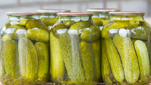 Dill Pickles Recipe