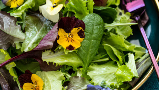 Spring Salad Recipe