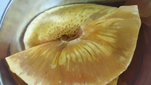 Breadfruit Chips Recipe