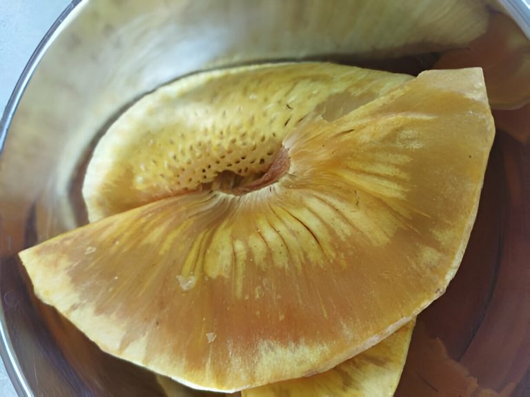 Breadfruit Chips Recipe